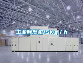 企业新闻工业除湿机15Kg／h