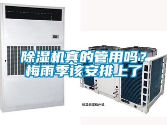 常见问题除湿机真的管用吗？梅雨季该安排上了