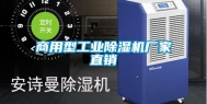 商用型工业除湿机厂家直销