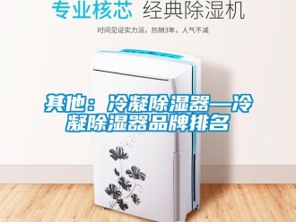 行业新闻其他：冷凝除湿器—冷凝除湿器品牌排名