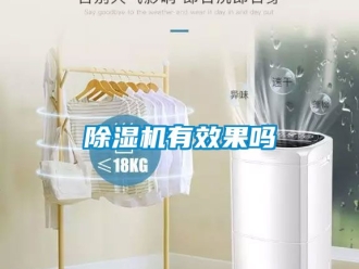 行业新闻除湿机有效果吗