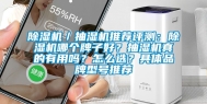除湿机／抽湿机推荐评测：除湿机哪个牌子好？抽湿机真的有用吗？怎么选？具体品牌型号推荐