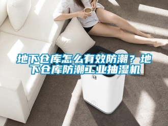 企业新闻地下仓库怎么有效防潮？地下仓库防潮工业抽湿机