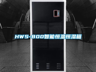 常见问题HWS-800智能恒温恒湿箱