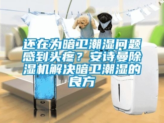 企业新闻还在为暗卫潮湿问题感到头疼？安诗曼除湿机解决暗卫潮湿的良方