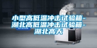 小型高低温冲击试验箱-湖北高低温冲击试验箱-湖北高天