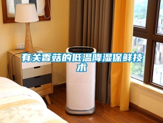 知识百科有关香菇的低温降湿保鲜技术