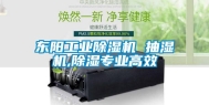 东阳工业除湿机 抽湿机,除湿专业高效