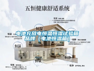 知识百科电池充放电恒温恒湿试验箱品牌（电池恒温箱）