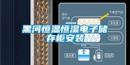 黑河恒温恒湿电子储存柜安装