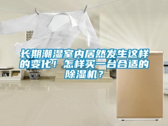 行业新闻长期潮湿室内居然发生这样的变化！怎样买一台合适的除湿机？