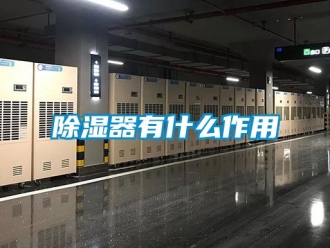 行业新闻除湿器有什么作用