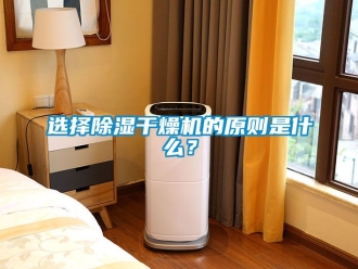 行业新闻选择除湿干燥机的原则是什么？