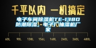 电子车间除湿机TE-138D防潮除湿，电子厂抽湿机厂家