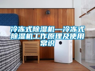 行业新闻冷冻式除湿机—冷冻式除湿机工作原理及使用常识