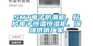 SMT电子防潮柜，贴片电子恒温恒湿柜，深圳供销厂家
