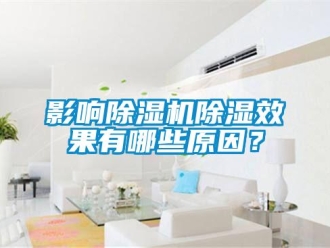 行业新闻影响除湿机除湿效果有哪些原因？