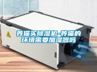 行业新闻养猫买除湿机-养猫的环境需要加湿器吗