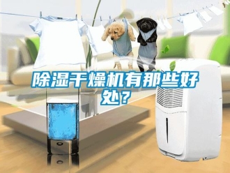 常见问题除湿干燥机有那些好处？