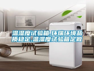 企业新闻温湿度试验箱,环瑞环境品质稳定,温湿度试验箱定做