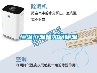 知识百科恒温恒湿箱如何除湿