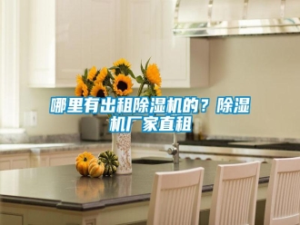 行业新闻哪里有出租除湿机的？除湿机厂家直租