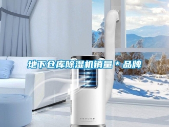 企业新闻地下仓库除湿机销量＊品牌
