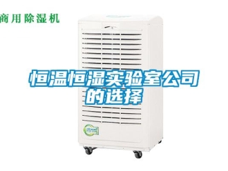 知识百科恒温恒湿实验室公司的选择