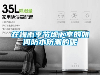 企业新闻在梅雨季节地下室的如何防水防潮的呢