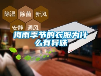 行业新闻梅雨季节的衣服为什么有异味