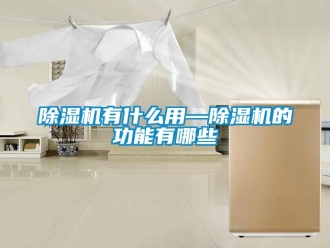 行业新闻除湿机有什么用—除湿机的功能有哪些