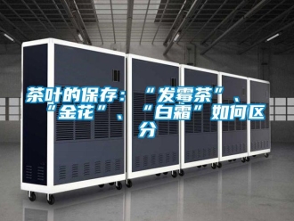 常见问题茶叶的保存：“发霉茶”、“金花”、“白霜”如何区分
