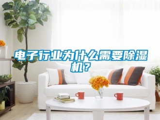 行业新闻电子行业为什么需要除湿机？