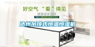 达州吊顶式恒温恒湿机