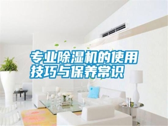 知识百科专业除湿机的使用技巧与保养常识