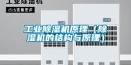 工业除湿机原理（除湿机的结构与原理）