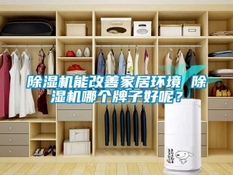 行业新闻除湿机能改善家居环境 除湿机哪个牌子好呢？