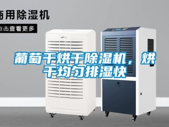 行业新闻葡萄干烘干除湿机，烘干均匀排湿快