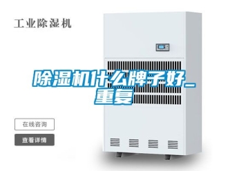 行业新闻除湿机什么牌子好_重复