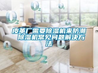 行业新闻皮革厂需要除湿机来防潮 除湿机常见问题解决方法