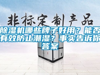 行业新闻除湿机哪些牌子好用？能否有效防止潮湿？事实告诉你答案