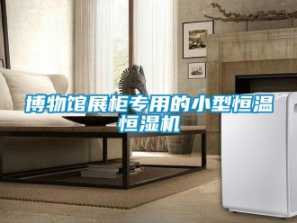 知识百科博物馆展柜专用的小型恒温恒湿机