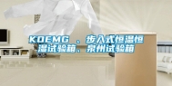 KOEMG 、步入式恒温恒湿试验箱、泉州试验箱