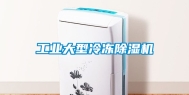 工业大型冷冻除湿机