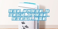 除湿机_郴州除湿机_除湿机价格_工业除湿机_除湿机品牌_抽湿机