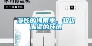 漫长的梅雨季，超级潮湿的环境