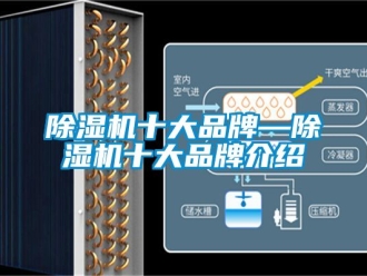 企业新闻除湿机十大品牌—除湿机十大品牌介绍