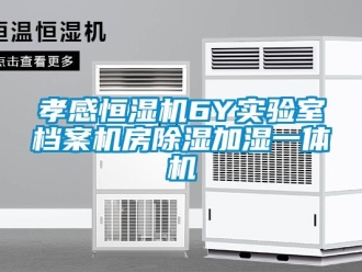知识百科孝感恒湿机6Y实验室档案机房除湿加湿一体机