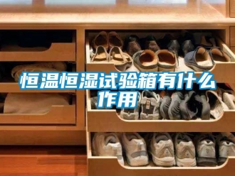知识百科恒温恒湿试验箱有什么作用