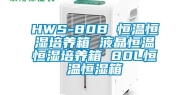 HWS-80B 恒温恒湿培养箱 液晶恒温恒湿培养箱 80L恒温恒湿箱